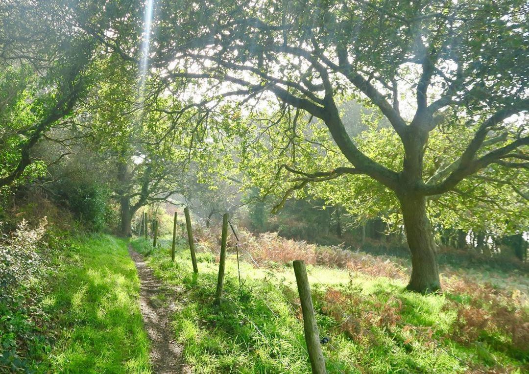 Gite De Kerberso Pléhédel Bagian luar foto